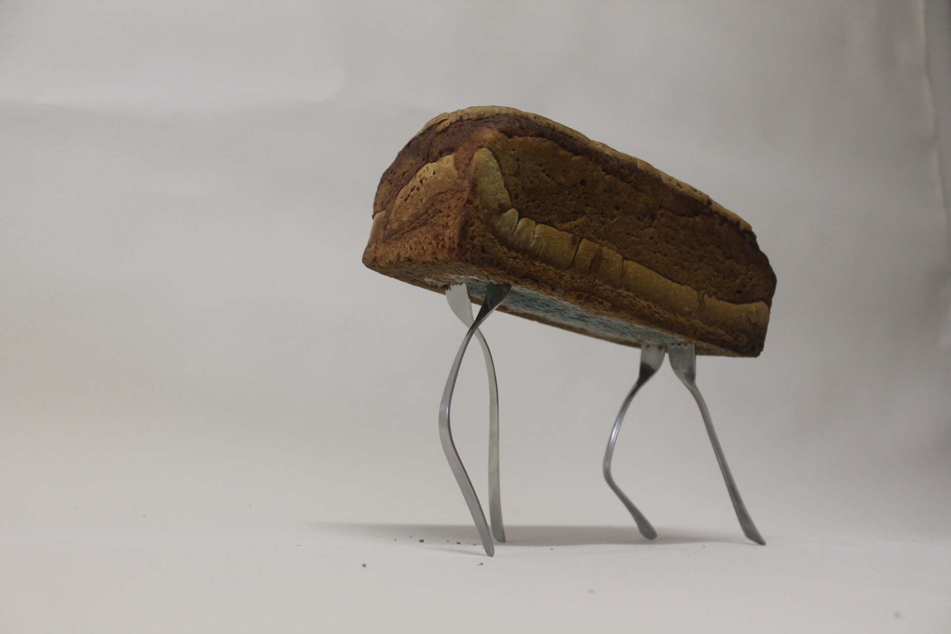 Brot 91