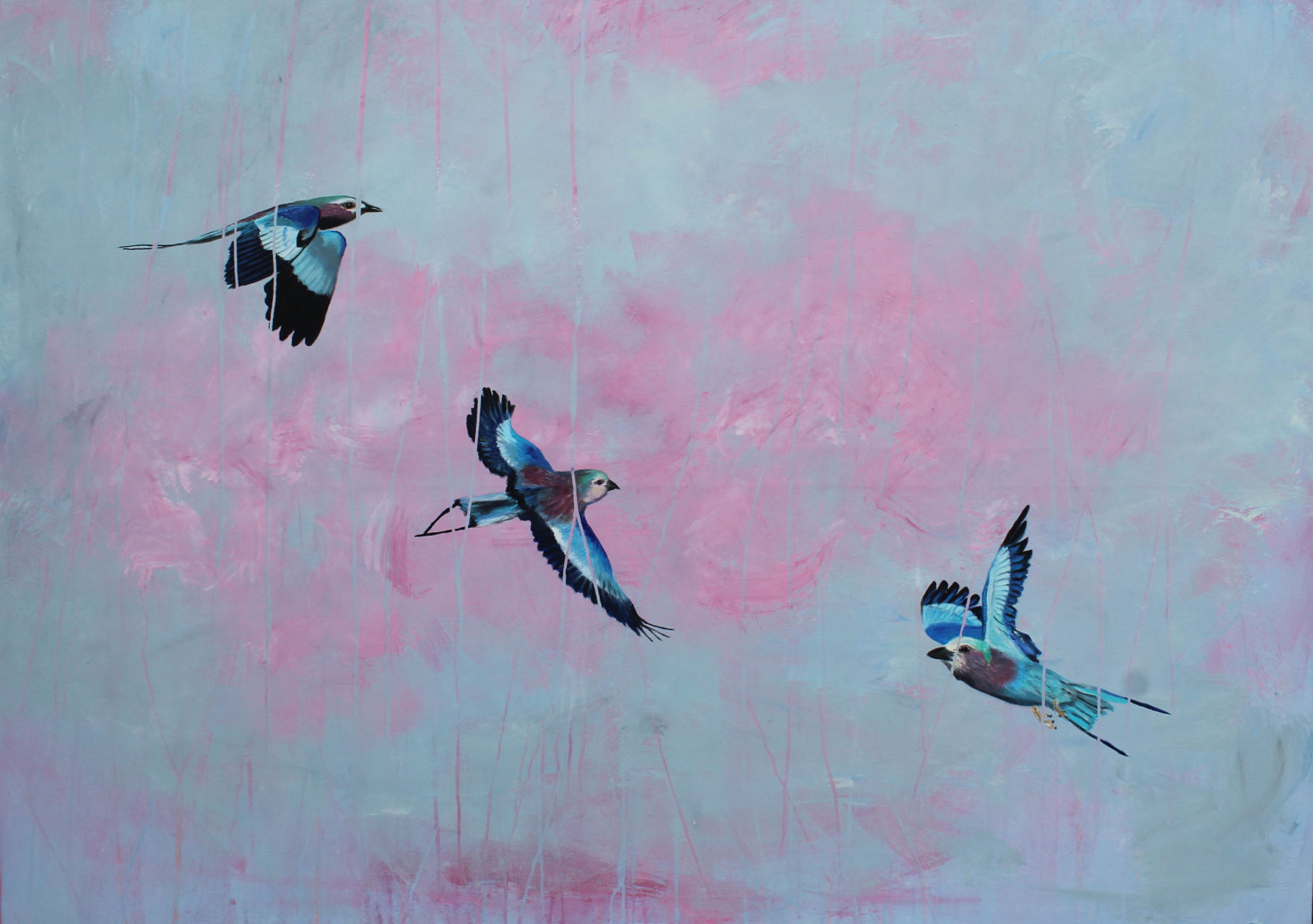 Lilac Breasted Rollers, 2016, mixed media, 100 x 140 cm