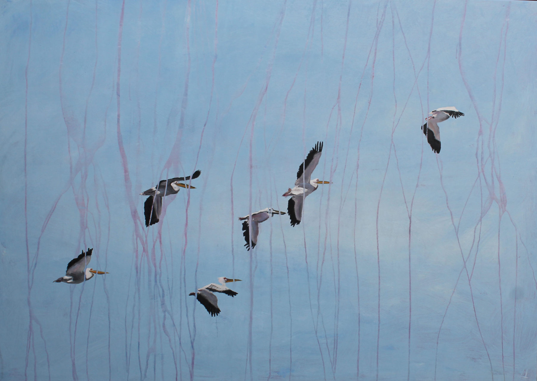 Birds