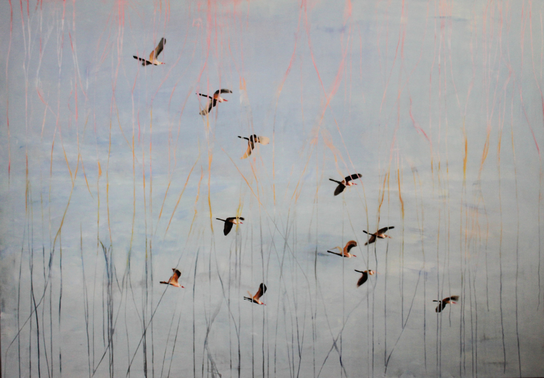 Vogelschwarm, 2016, Mischtechnik 140 x 200 cm. Sold